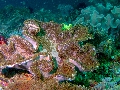 IMG_6649