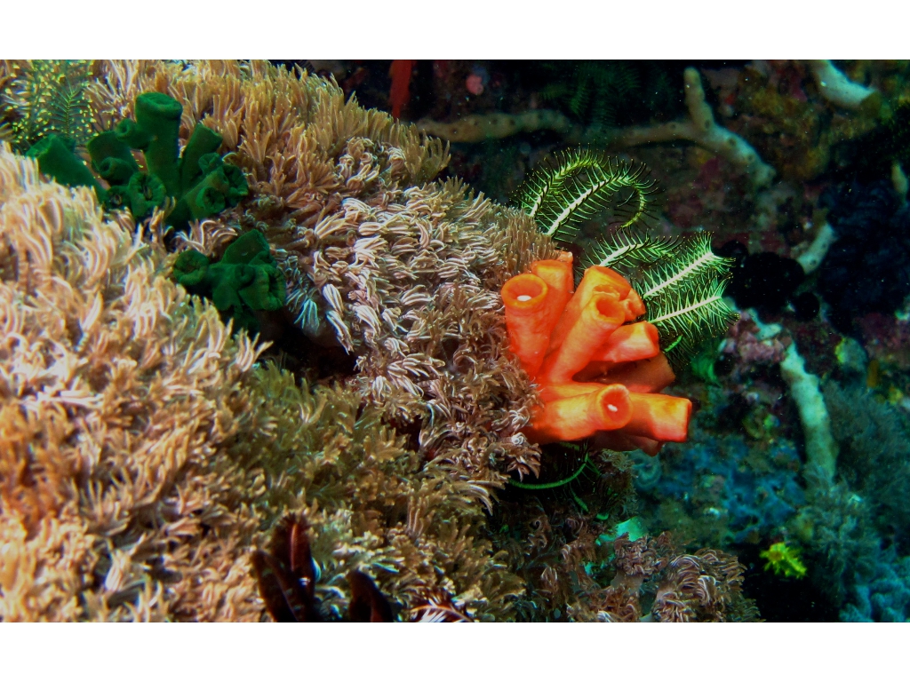 IMG_6729