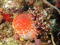IMG_6697 (1)