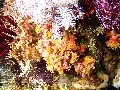 IMG_6716 (1)