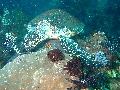 IMG_6720 (1)