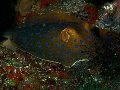 IMG_6736 (1)