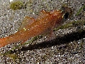 IMG_6770 (1)