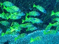 IMG_6861