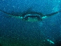 IMG_6885 - Version 2