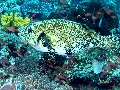 IMG_6892