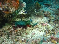 IMG_6917