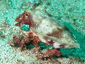 IMG_6930