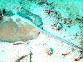 IMG_6936