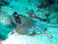 IMG_6942