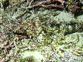 IMG_6972