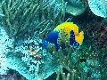 IMG_6993