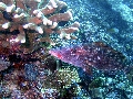 IMG_7059