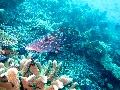 IMG_7060