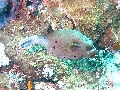 IMG_7066