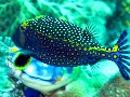 IMG_7125