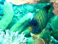 IMG_7152