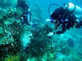IMG_7165