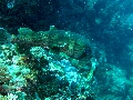 IMG_7178