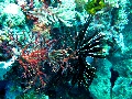 IMG_7185