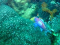 IMG_5826