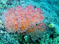 IMG_5838