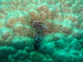 IMG_5841