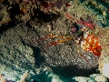 IMG_5870