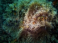 IMG_5879