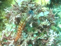 IMG_6187