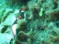 IMG_6191