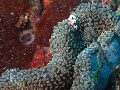 IMG_6232 (1)