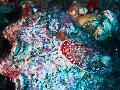 IMG_6234