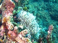 IMG_6261