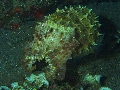 IMG_6303 (1)