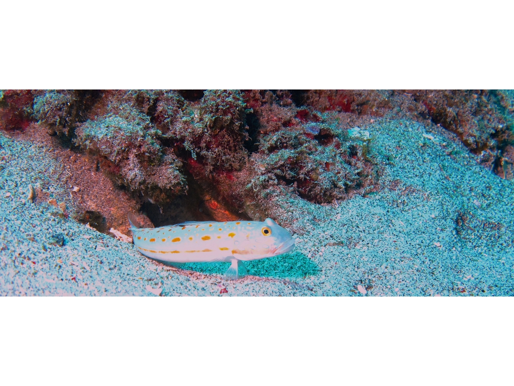 IMG_5969
