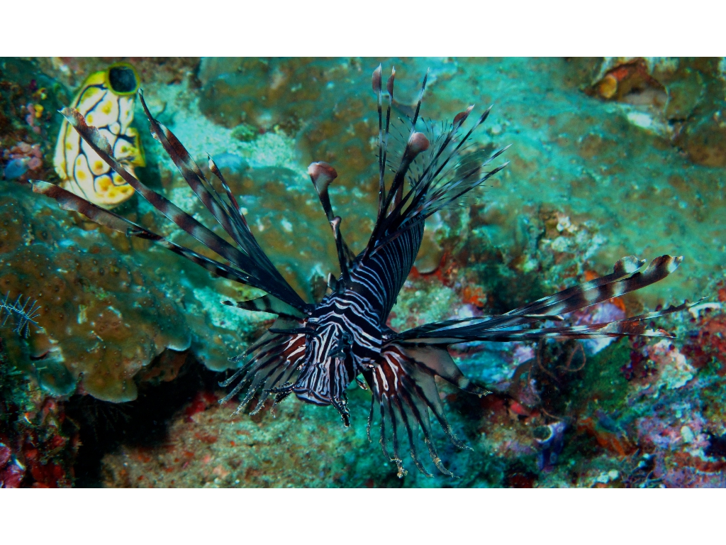 IMG_6055