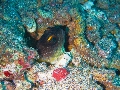 IMG_5927