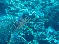 IMG_5932