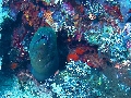 IMG_5971