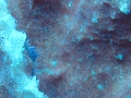 IMG_5981