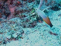 IMG_5988