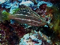 IMG_6029