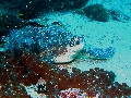 IMG_6045