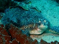 IMG_6046