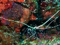 IMG_6069