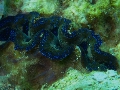 IMG_6086