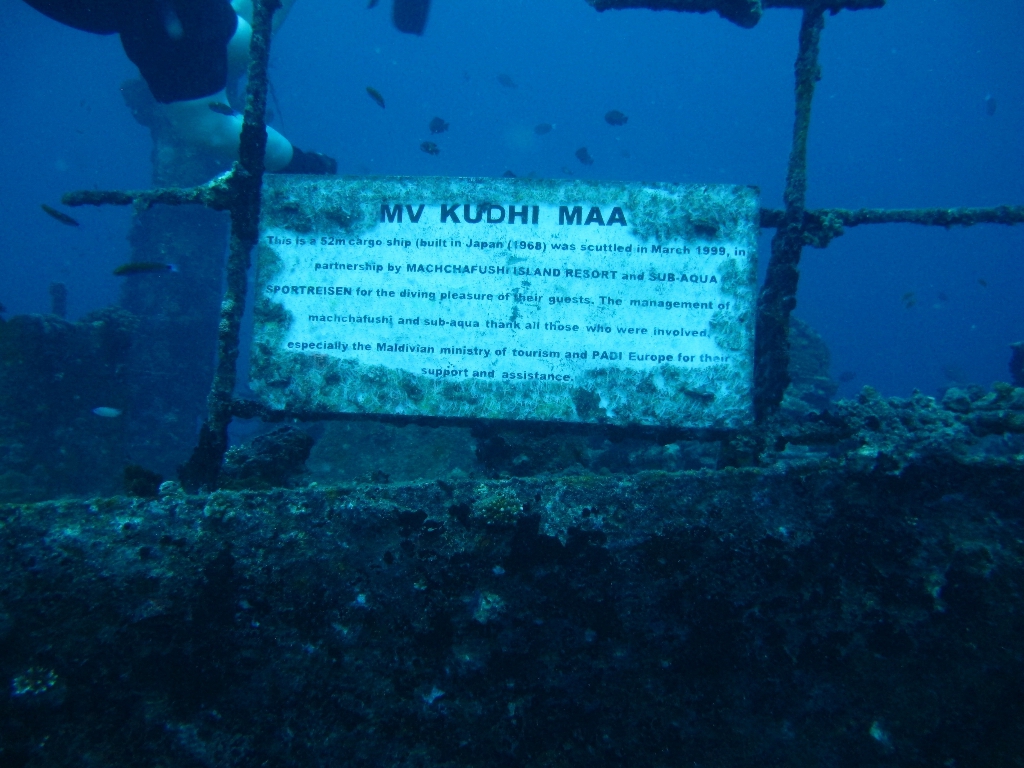 2013 Maldives Dives Web-IMG_4651