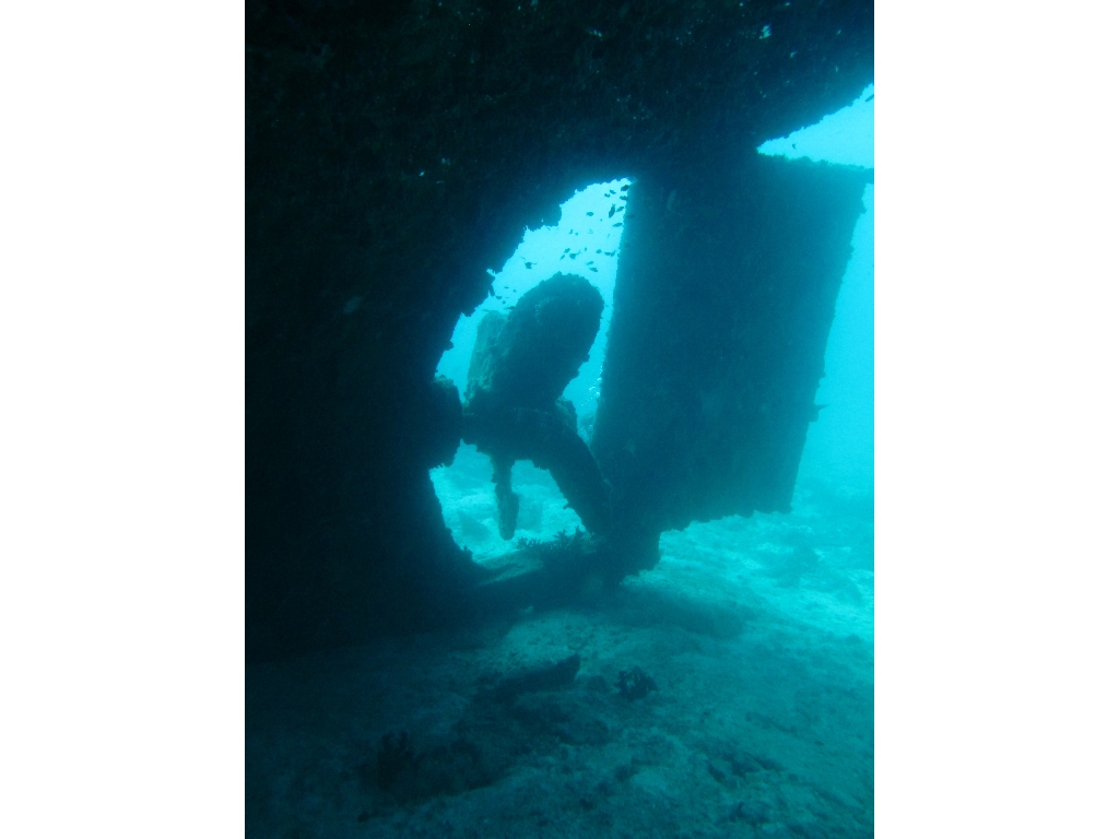 2013 Maldives Dives Web-IMG_4816