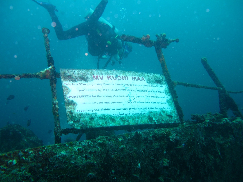 2013 Maldives Dives Web-IMG_4826
